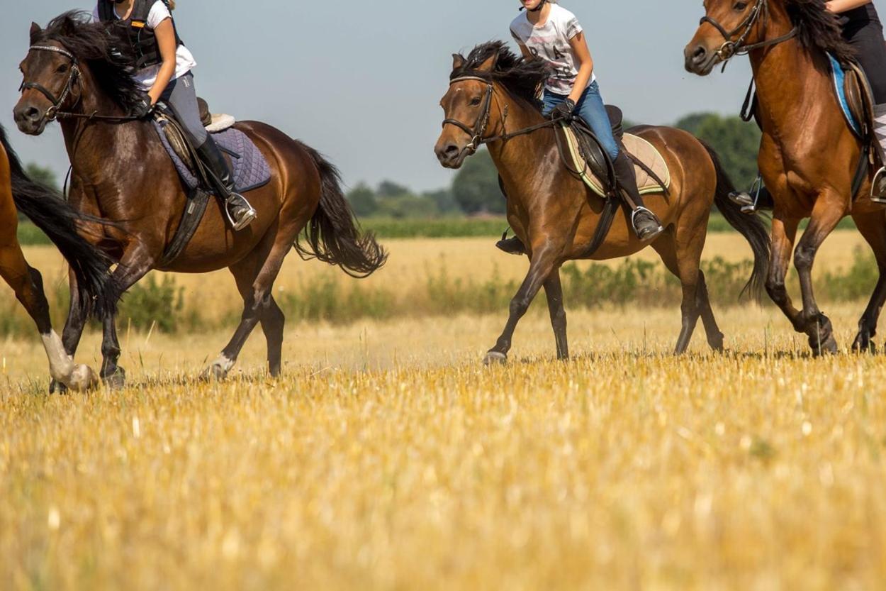 Ferienwohnungen Georgenbruch Everswinkel Luaran gambar