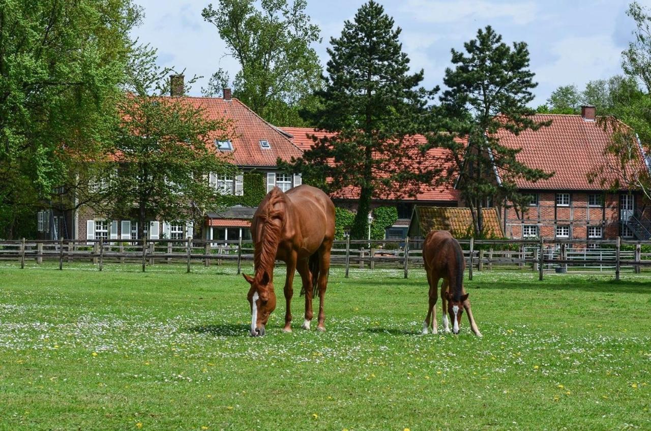 Ferienwohnungen Georgenbruch Everswinkel Luaran gambar